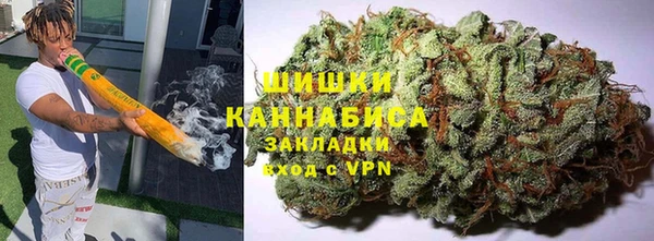 прущие грибы Алзамай