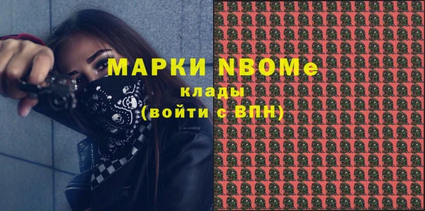 прущие грибы Алзамай