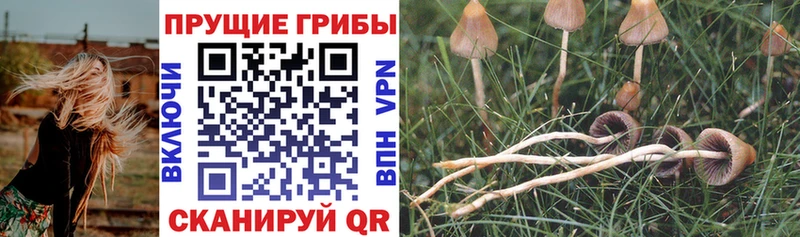 ссылка на мегу ONION  Ноябрьск  Галлюциногенные грибы мухоморы 